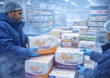 Top Frozen Food Suppliers in Bihar – State Delight