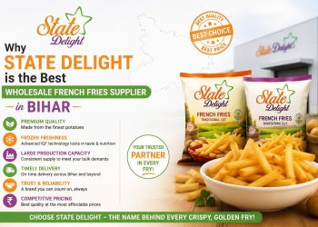 Why State Delight is the Best Wholesale French Fries Supplier in Bihar