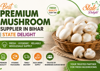 Best Premium Mushroom Supplier in Bihar | State Delight